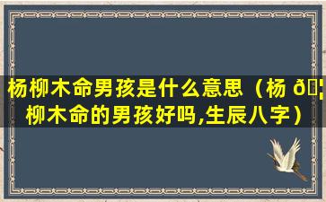 杨柳木命男孩是什么意思（杨 🦉 柳木命的男孩好吗,生辰八字）